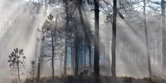 Firman convenio CDMX, EDOMEX y Morelos para proteger el Bosque de Agua